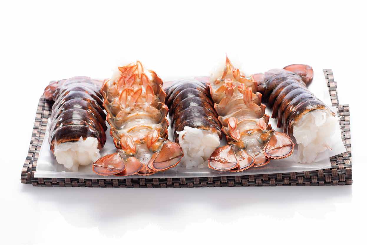 Crab & Lobster